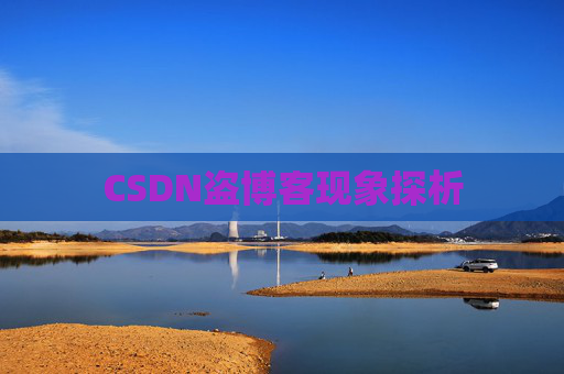 CSDN盗博客现象探析 CSDN盗博客现象探析